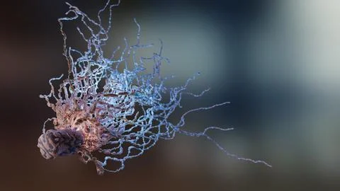 Bacteria Stock Illustration