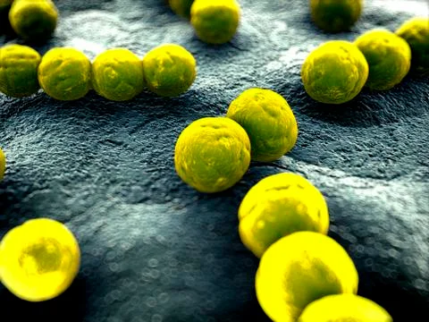 Bacteria, illustration Stock Illustration