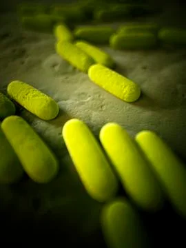 Bacteria, illustration Stock Illustration