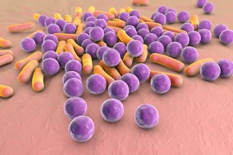 Bacteria, illustration Stock Illustration