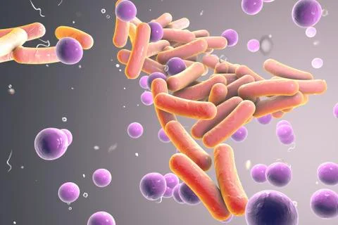 Bacteria, illustration Illustrazione stock