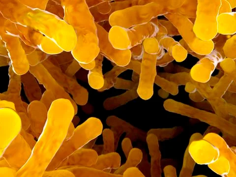 Bacteria, illustration Stock Illustration