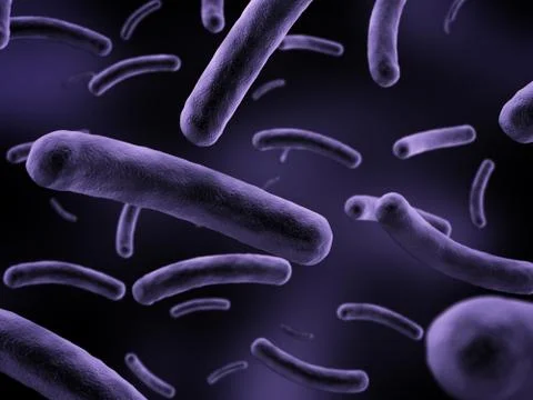 Bacteria illustration Stock-Illustration