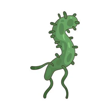 Bacteria illustration 스톡 일러스트