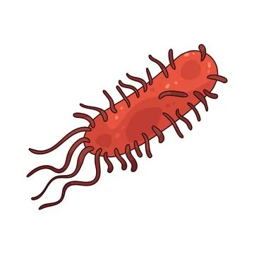 Bacteria illustration Stock Illustration