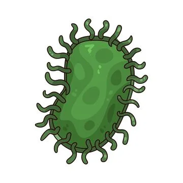Bacteria illustration Illustration