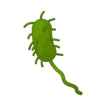 Bacteria illustration Stock Illustration