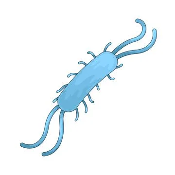 Bacteria illustration Stock Illustration