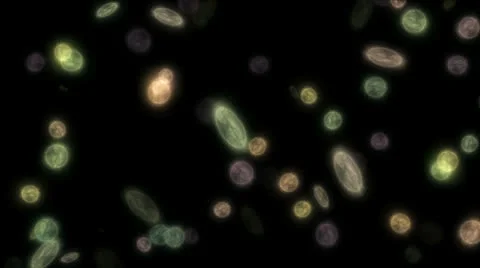 Bacteria infect 4k Video stock 25477431