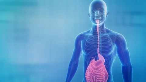 Bacteria infection spreading throughout different human organs. Stock Footage 122764376