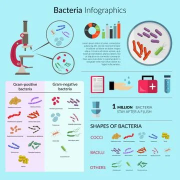 Bacteria Infographic Set Stock Illustration