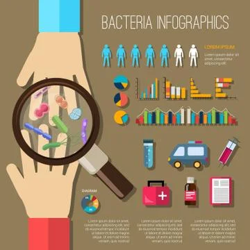 Bacteria Infographics Set Stock Illustration