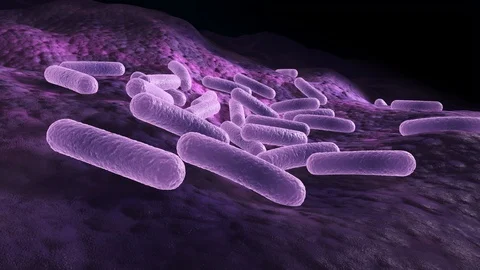 Bacteria laying on a surface, microscopic 3d rendered animation Stock Footage 87078189