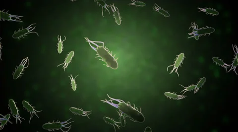 Bacteria Loop - dark Video stock 27609311