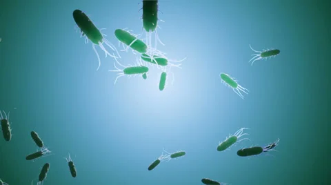 Bacteria Loop 스톡 동영상 27609600