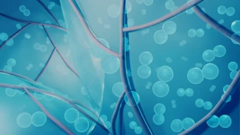 Bacteria in lungs, Pneumonia Stock Footage 156936528