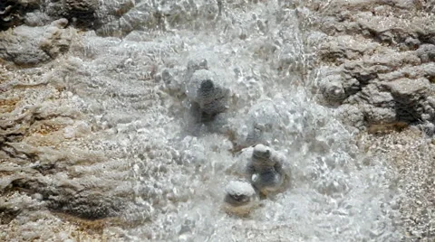 Bacteria Mat Closeup Stock Footage 61768328