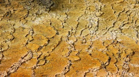 Bacteria Mats 1 BigWeb 스톡 동영상 878937