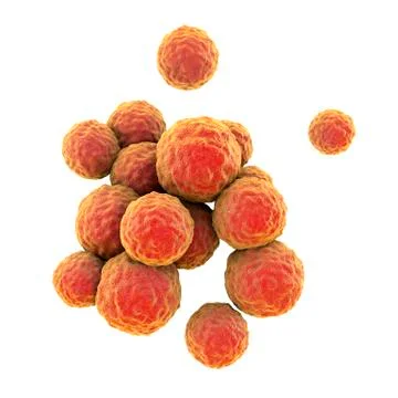 Bacteria methicillin-resistant Staphylococcus aureus MRSA Stock Illustration