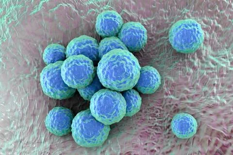 Bacteria methicillin-resistant Staphylococcus aureus Illustrazione stock
