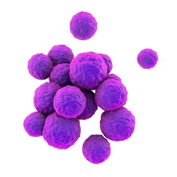 Bacteria methicillin-resistant Staphylococcus aureus MRSA Illustrazione stock