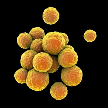 Bacteria methicillin-resistant Staphylococcus aureus MRSA Ilustração Stock