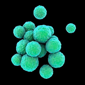 Bacteria methicillin-resistant Staphylococcus aureus MRSA Illustrazione stock