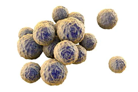 Bacteria methicillin-resistant Staphylococcus aureus MRSA Illustrazione stock