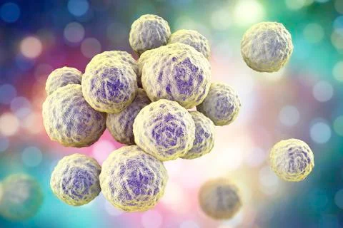 Bacteria methicillin-resistant Staphylococcus aureus Illustrazione stock