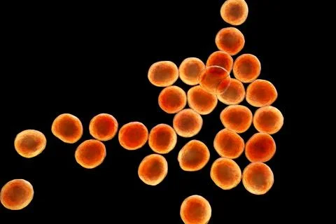 Bacteria methicillin-resistant Staphylococcus aureus MRSA Illustrazione stock