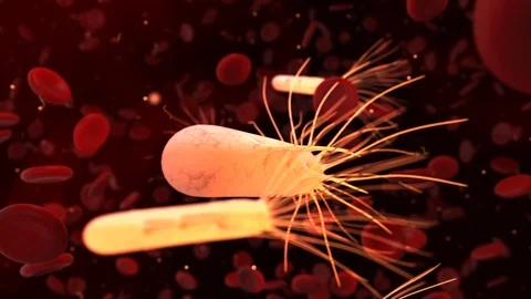 Bacteria microbe flora and microflora of a health gut Stock Footage 114255682