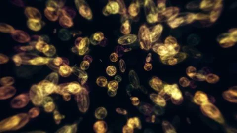 Bacteria microorganisms microscope Stock Illustration