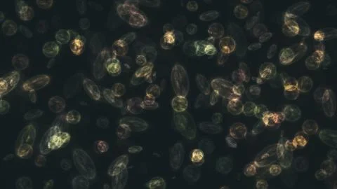 Bacteria microorganisms microscope Stock Illustration