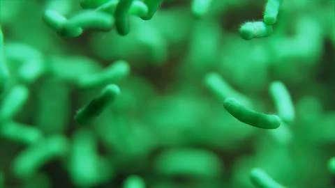 Bacteria Microscope In Air 库存照片
