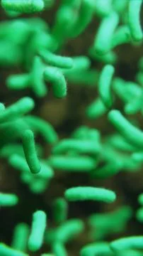 Bacteria Microscope In Air 库存照片
