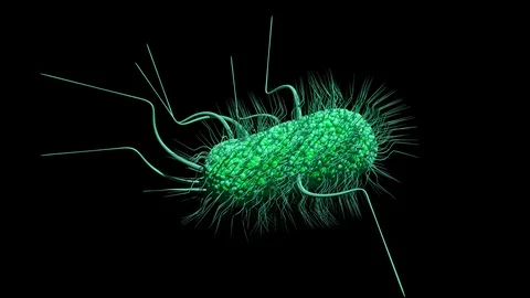 Bacteria in motion with alpha mask Video stock 93790982