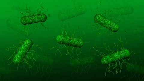 Bacteria moving. 3D rendering. Stock Footage 75714312