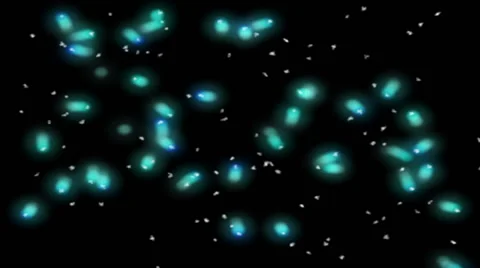 Bacteria moving under a microscope. Stock Footage 49955330