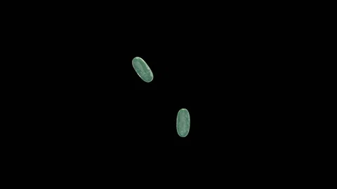 Bacteria multiplication Stock Footage 141250169