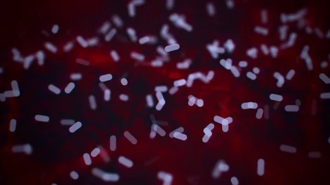 Bacteria multiplying themselves in organisms Stock Footage
