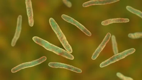 Bacteria Mycobacterium tuberculosis, the causative agent of tuberculosis Stock Illustration