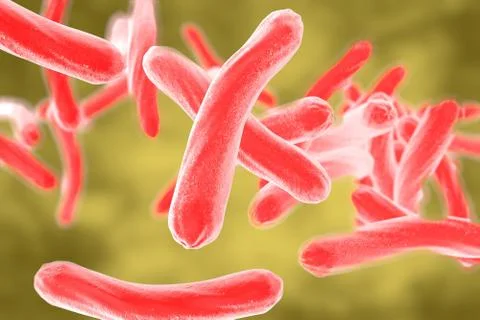 Bacteria Mycobacterium tuberculosis Illustrazione stock