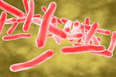 Bacteria Mycobacterium tuberculosis Stock Illustration