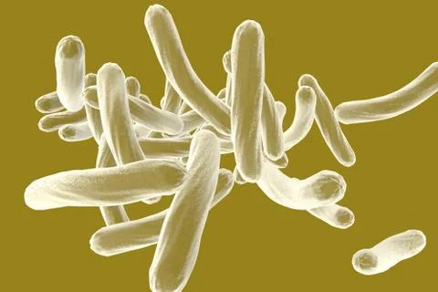 Bacteria Mycobacterium tuberculosis Stock Illustration