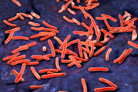 Bacteria Mycobacterium tuberculosis Stock Illustration