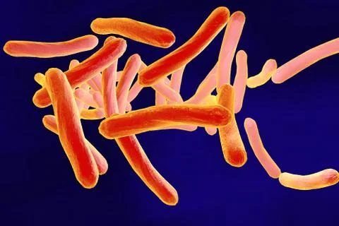 Bacteria Mycobacterium tuberculosis Illustrazione stock