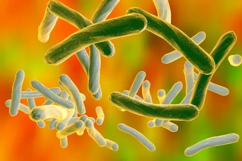 Bacteria Mycobacterium tuberculosis Stock Illustration