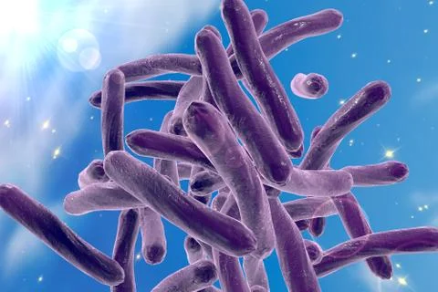 Bacteria Mycobacterium tuberculosis Stock Illustration