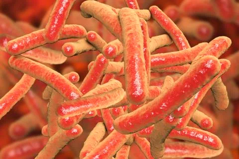 Bacteria Mycobacterium tuberculosis Stock Illustration