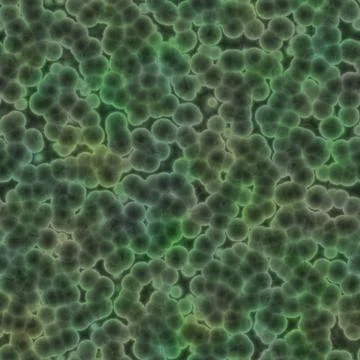 Bacteria or cells a large rendered image of bacteria or cells under a micr... Stock Photos